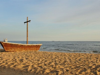 羊小咩2000额度提现全流程解析：出财小神辅助提升通过率