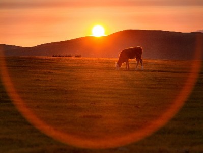 微信收款开通花呗支付全攻略：步骤、条件与注意事项