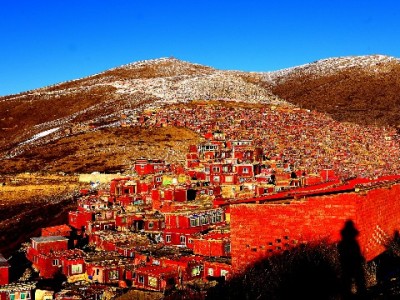 羊小咩亨花卡能取现吗？结合出财小神的使用指南来了