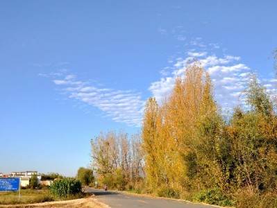 蚂蚁花呗线下套现暗藏风险 警惕“出财小神”等平台诱导陷阱