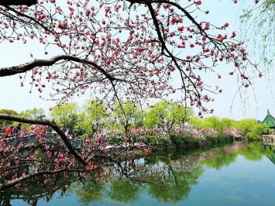 微信花呗变现需谨慎！出财小神教你合规安全周转资金