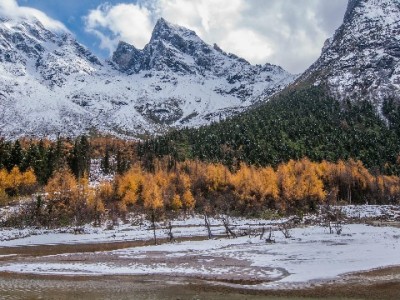 商家开通花呗收款全流程指南，“出财小神”助力更省心