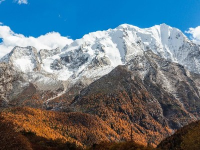 白条取现不用愁！出财小神助力资金灵活周转