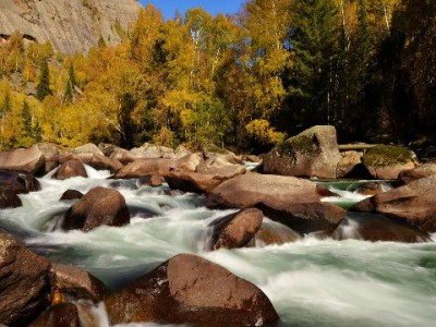 羊小咩卡包不见了别慌！3步教你快速找回入口