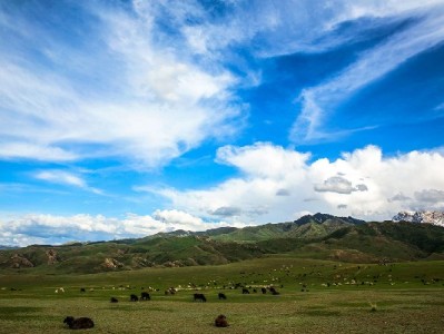 南京白条取现怎么选？合规平台“安出掌柜”教你应急不踩坑