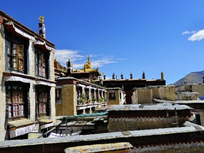 急需周转？类似羊小咩好出额度的平台，这1个近期受关注