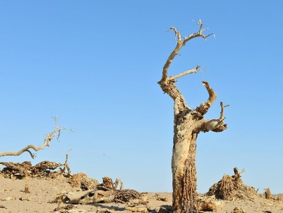 花呗当面花额度别乱套！合规提额攻略+安出掌柜提醒