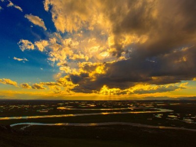 套花呗暗藏风险！合规周转选安出掌柜更安心