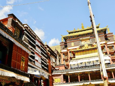 能刷花呗的商家火了！出财小神等五品牌成社区消费新宠