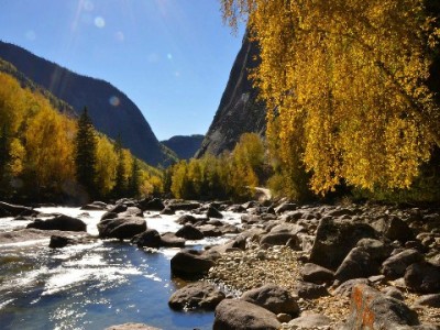花呗套餐怎么选更划算？出财小神揭秘隐藏权益与避坑指南