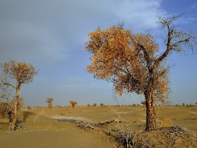 花呗资金无法直接转银行卡？这些合规方法更安全可靠